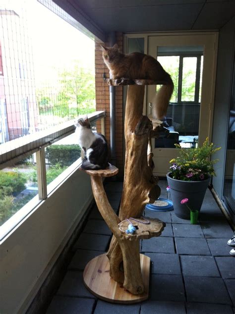 Do you like the idea of a cat tree that actually looks like a tree, and even that sits right near the wall, but you 8. Pin on Cat Towers