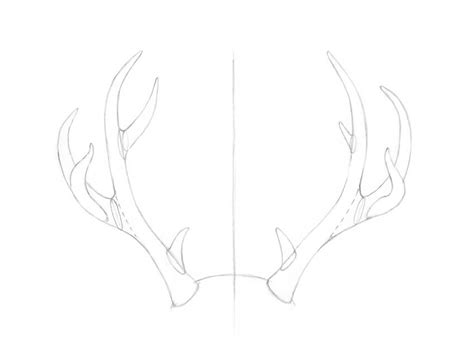 Depending on the style, anime hair can be very complex. How to Draw Antlers Step by Step