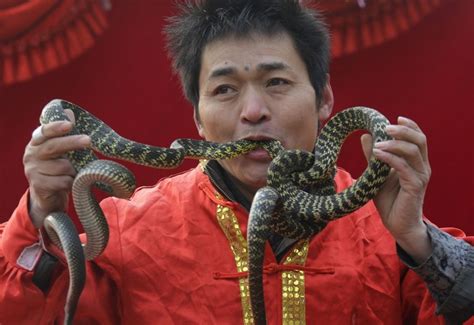 Chinese New Year Highlights Year Of The Snake Lunar New Photos Of