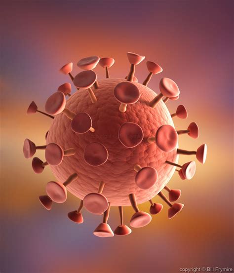 Hiv Virus