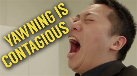 Why Yawning Is Contagious Youtube