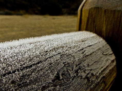 Frost On A Fence Free Stock Photo Public Domain Pictures