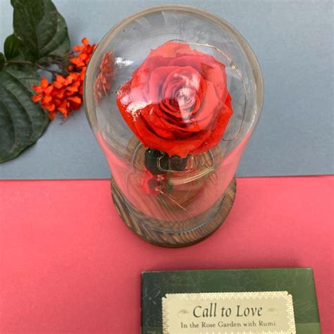 Long Lasting Preserved Roses Online India Forever Lasts Roses