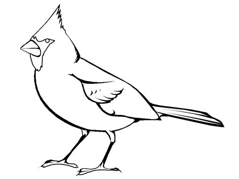 These pages were created by kids who want to brighten someone's day! Cardinal Coloring Pages Printable - Coloring Home