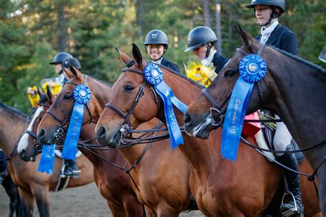 Announcing Our 2023 Season (With Something New!) - Cascade Horse Shows