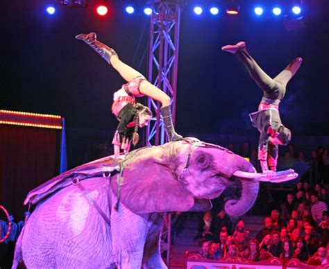 The other greatest show on earth. Cirkus I Danmark