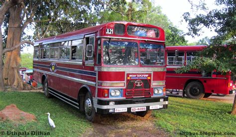 Sltb Buses ශ්‍රී ලංගම බස් Modified Ruby Bodied Tata 1510