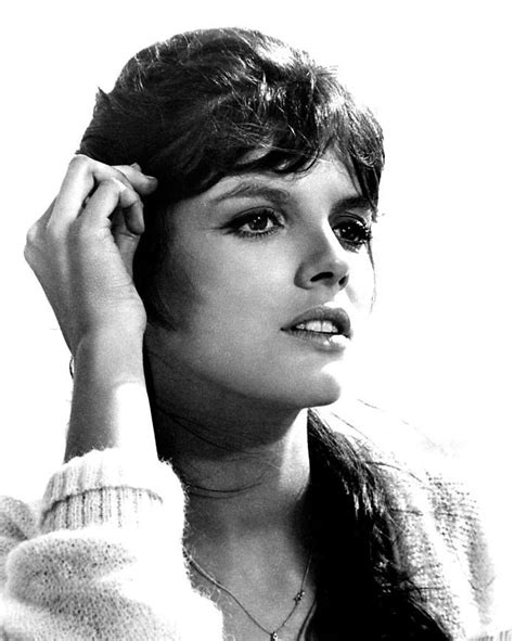 katharine ross katherine ross classic actresses actors and actresses movie market candice
