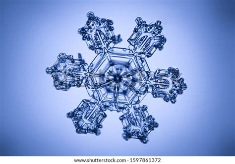 Real Snowflake Microscope Shot Stock Photo 1597861372 Shutterstock