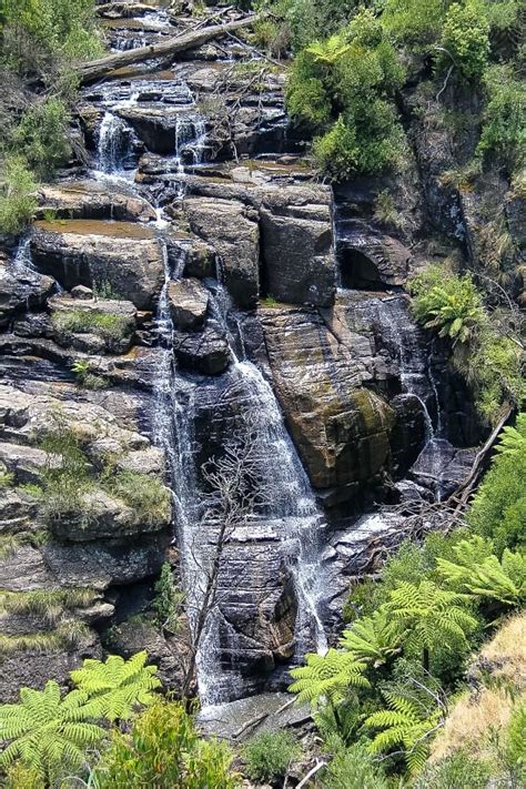 I was in the same situation back in 2016. Victoria, Australia: Masons Falls, Kinglake National Park ...