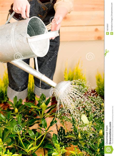 Gardening Woman Watering Plant Spring Terrace Stock Image Image Of