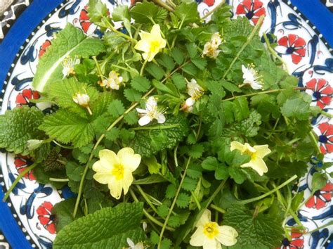 Edible Wild Flowers Nz Sschool Age Activities For Daycare