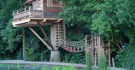 Treehouse With Rope Bridge Inhabitat Green Design Innovation