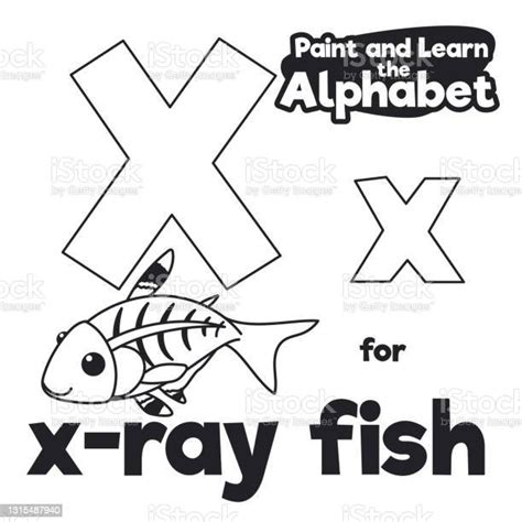 Didactic Alphabet Untuk Mewarnainya Dengan Xray Fish Dan Letter X