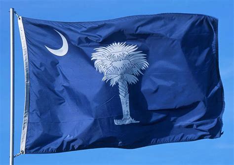 South Carolina State Flags Nylon And Polyester 2 X 3 To 5 X 8