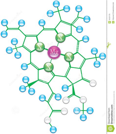 This pigment is responsible for absorbing sunlight required for the production of sugar. Chlorophyll Formula I Royalty Free Stock Photo - Image ...
