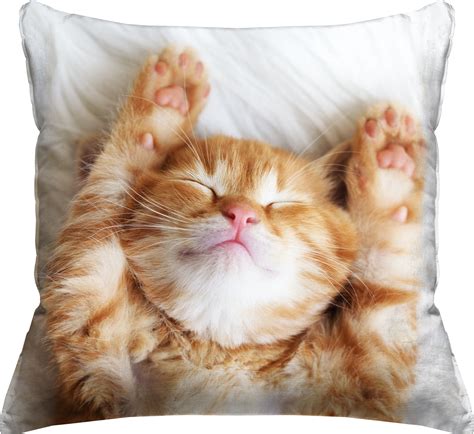 Photo Real Orange Tabby Cat Throw Pillow