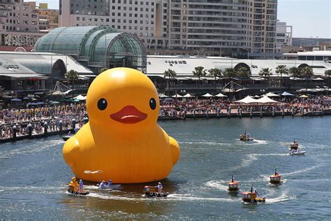 Florentijn Hofman S Five Story Tall Rubber Duck Floats Its Way Into Sydney