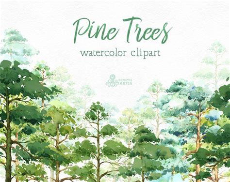 Pine Trees Watercolor Pines Forest Wood Landscape Frame Etsy