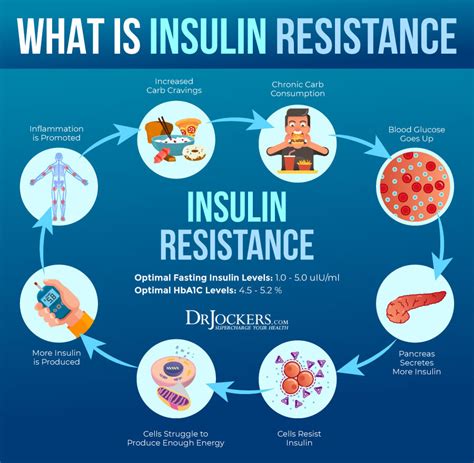 Insulin Resistance 10 Ways To Stabilize Blood Sugar
