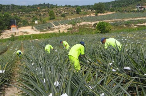 Persembahan tarian zapin sempena majlis penutup in house training 1 briged 2014 di dewan bankuasi 2 kad, port dickson, 10 disember 2014. Penjara tanpa tembok: Transformasi dua abad
