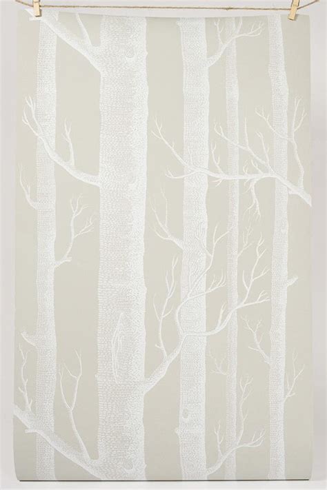 580x435px Cole And Sons Birch Tree Wallpaper Wallpapersafari