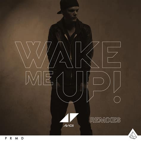 Avicii Wake Me Up Remixes 2013 256 Kbps File Discogs