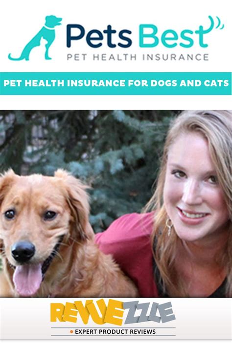 The Best Pet Insurance For Your Furry Friends In 2023 Aspect Of Home