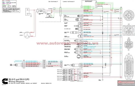I need shop manuals for atv180 with reverse and for x125g. G19 Wiring Diagram | schematic and wiring diagram