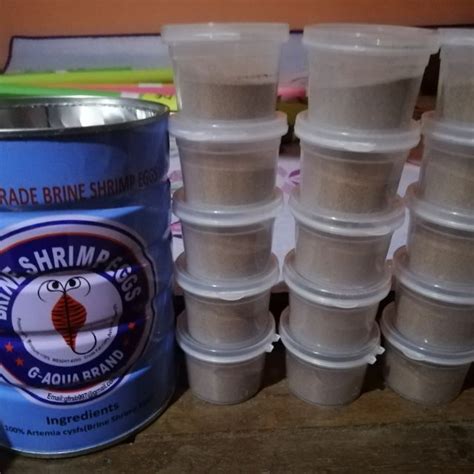 Zegarek.net 598 views1 year ago. Baby brine shrimp 10grams g aqua brand | Shopee Philippines