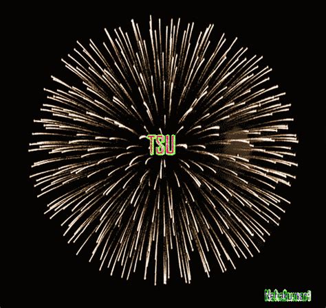 Pin By Updatedreviews On My Tsu Pics Fireworks  Happy New Year