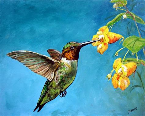 Hummingbird With Yellow Flowers Painting By Dottie Dracos Fine Art