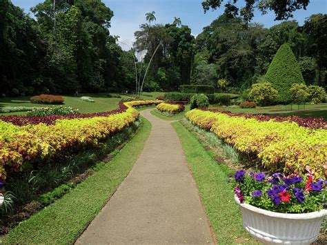 Royal Botanical Gardens Peradeniya Photograph By Panoramic Images Pixels
