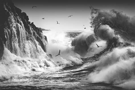 Birds In The Storm Part 10 Photograph By Paolo Lazzarotti Fine Art