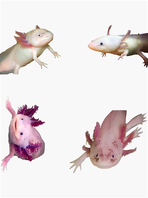St Smiling Axolotl Stickers Package Funny Adorable And Cute
