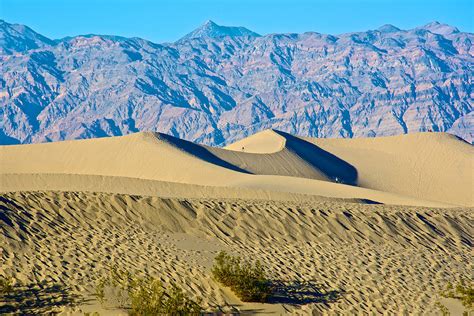 Huge Sand Dunes In Mesquite Flat Sand Dunes In Death Valley National