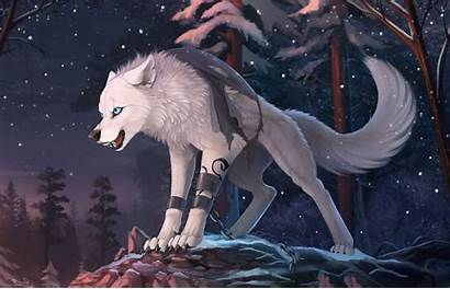 Wolf Furry Animals Anime Wallpapers Desktop Fury