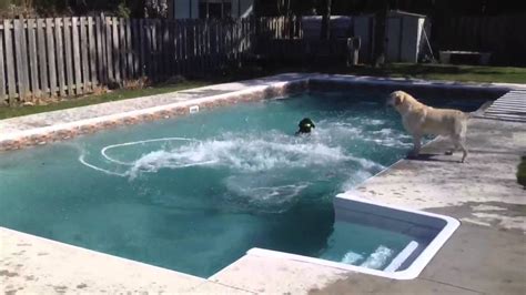 Theo Jumps In Freezing Cold Swimming Pool Youtube