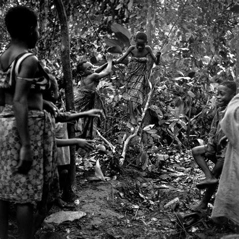 How Sustainable Development Ravaged The Congo Basin Scientific American