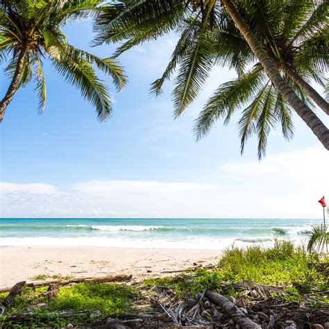 Mejores Playas De Costa Rica Las 6 Playas Que No Debes Perderte