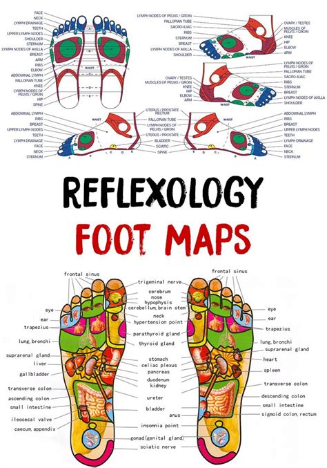 The 25 Best Reflexology Foot Map Ideas On Pinterest Reflexology Massage Near Me Foot