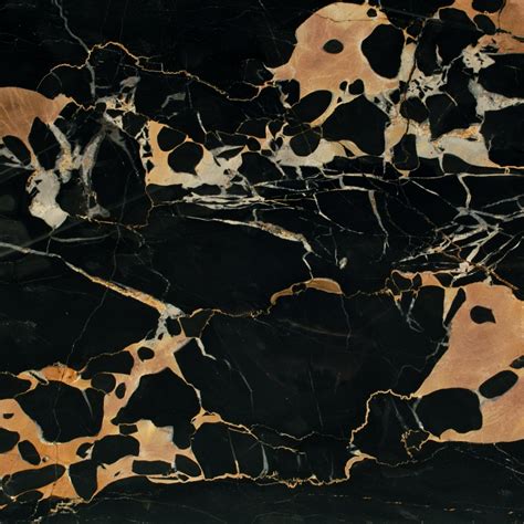 Nero Portoro Black Marble Marble La Fenice Marble