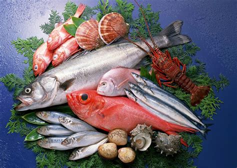 The Aquaculturists 24022015 How Long Does Fresh Fish Last In The