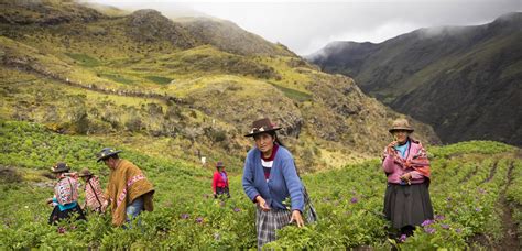 Peru has a great diversity of climates, ways of life, and economic activities. Peru: een wereld in verandering