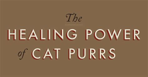 The sound of a purring cat is one of the most comforting sounds available and can help soothe and calm you down when you're feeling stressed. MEDICAL CORNER … Healing power of cats' purring!! | It Is ...