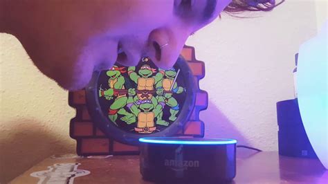 ALEXA tell me a JOKE! (Amazon Echo Preview) - Funniest Jokes EVER - YouTube