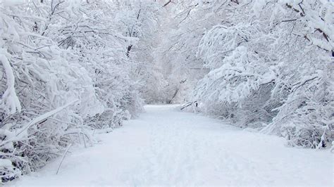 Discover (and save!) your own pins on pinterest. Winter Snow Wallpaper | http://bestwallpaperhd.com/winter-snow-wallpaper.html | Projects to Try ...
