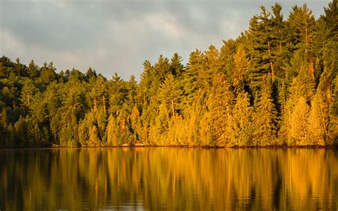 Download Wallpaper 3840x2400 Forest Trees Lake Twilight Landscape