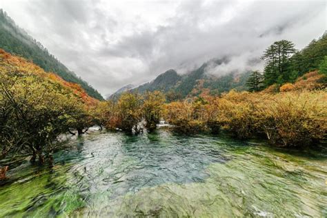 Scenic View Of The Bonsai Shoals Jiuzhai Valley National Park Stock