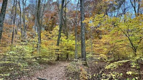 10 Best Hikes And Trails In Mccormicks Creek State Park Alltrails
